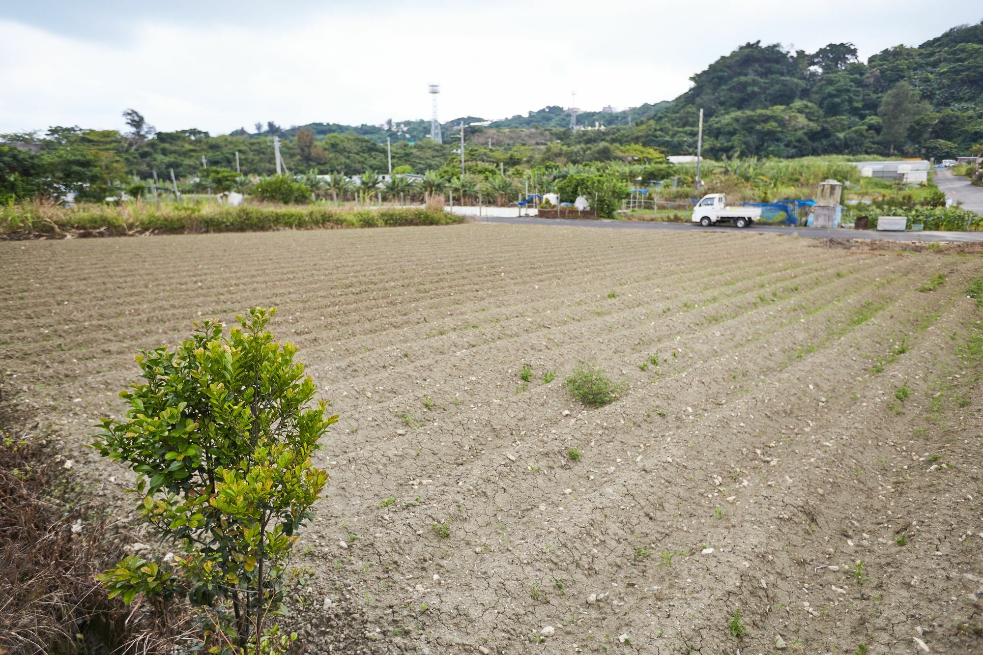 冲绳南村酒店 北中城村 外观 照片